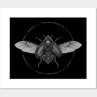 Scarab Beetle B&W Posters and Art